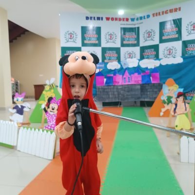 fancy dress competition (10)